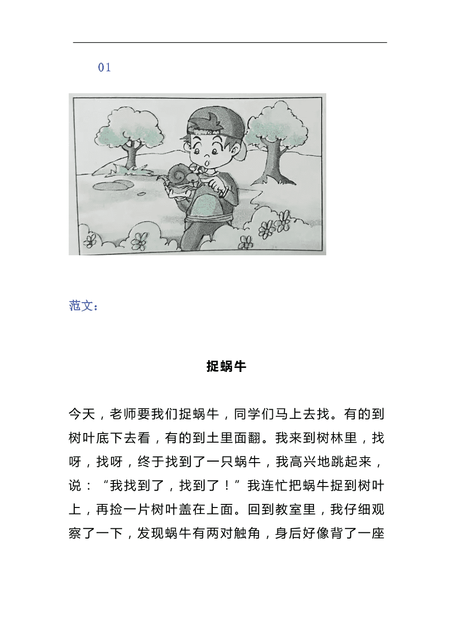 部编版二年级语文上册看图写话范文精选40篇