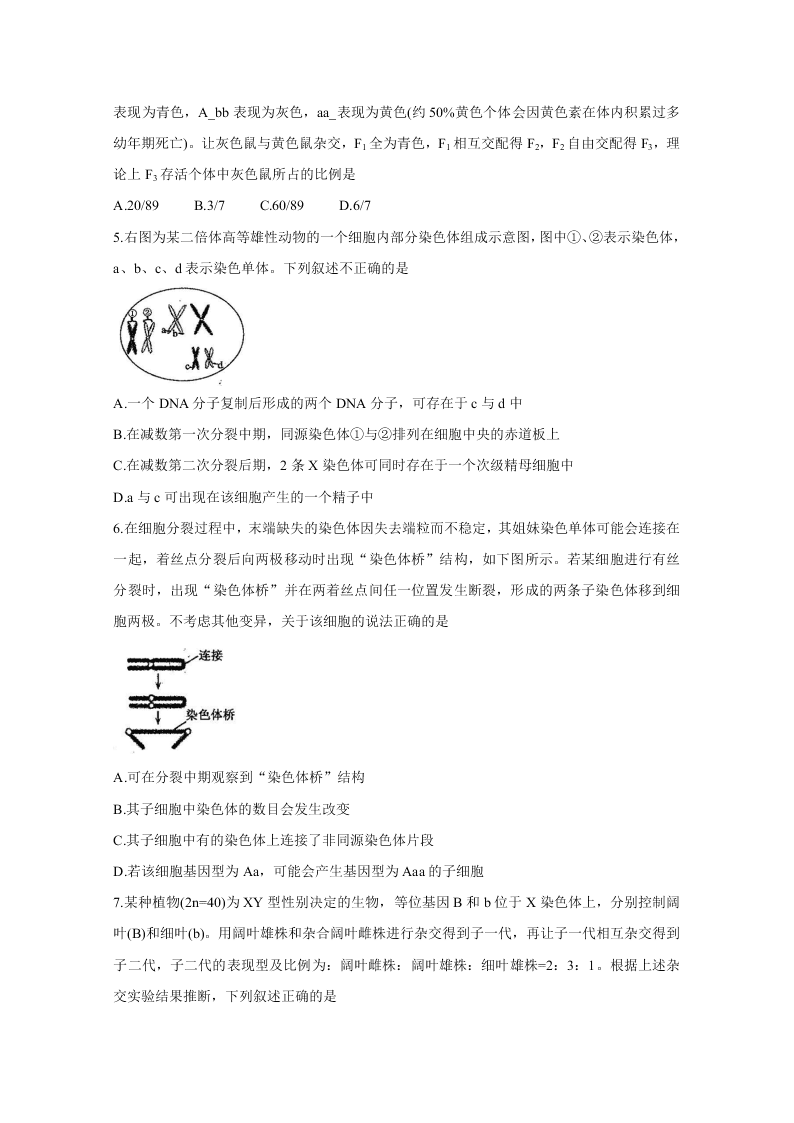 山东省聊城市九校2020-2021高二生物上学期第一次开学联考试题（Word版附答案）