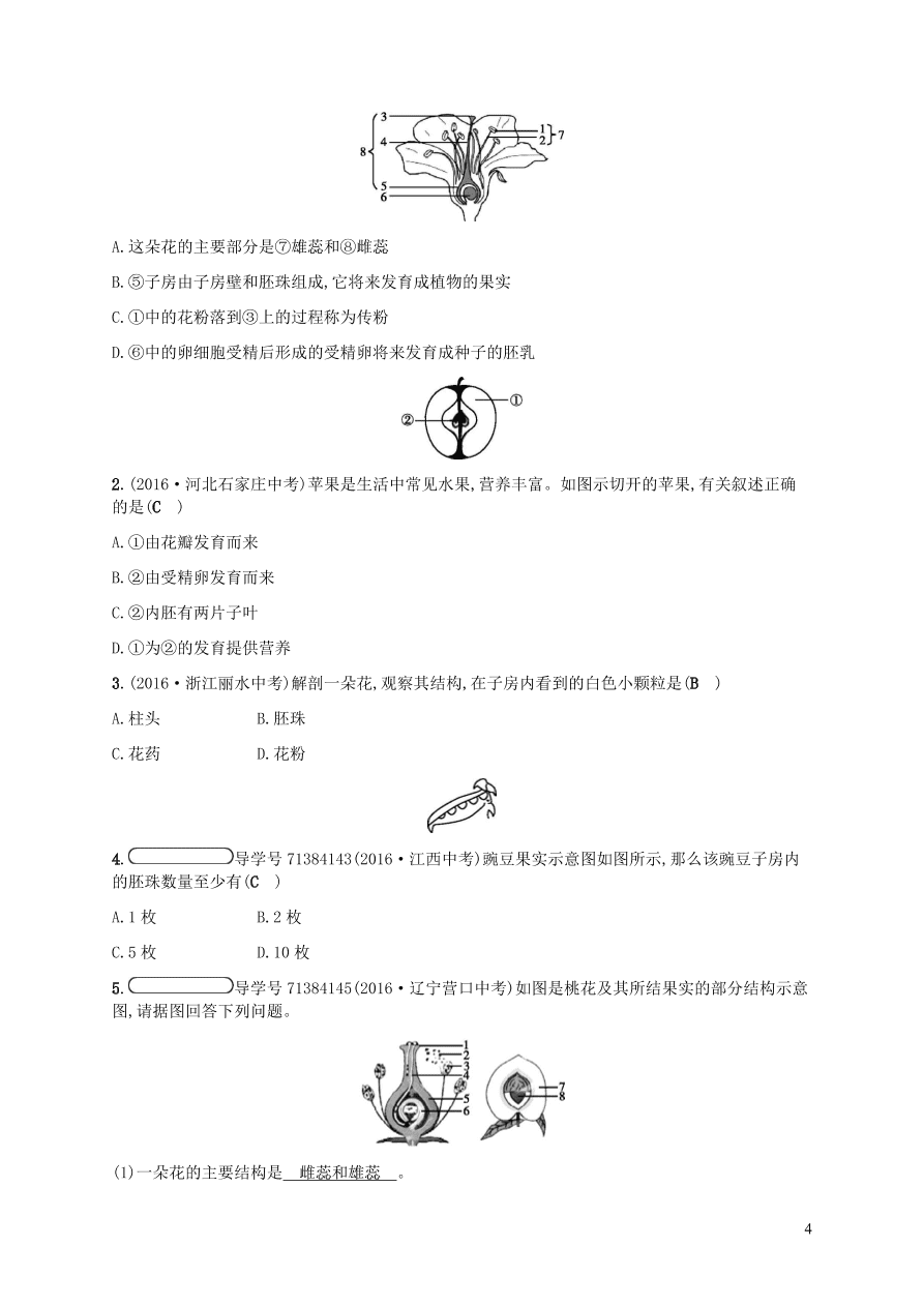 北师大版七年级生物上册6.3《生殖器官的生长》同步练习及答案