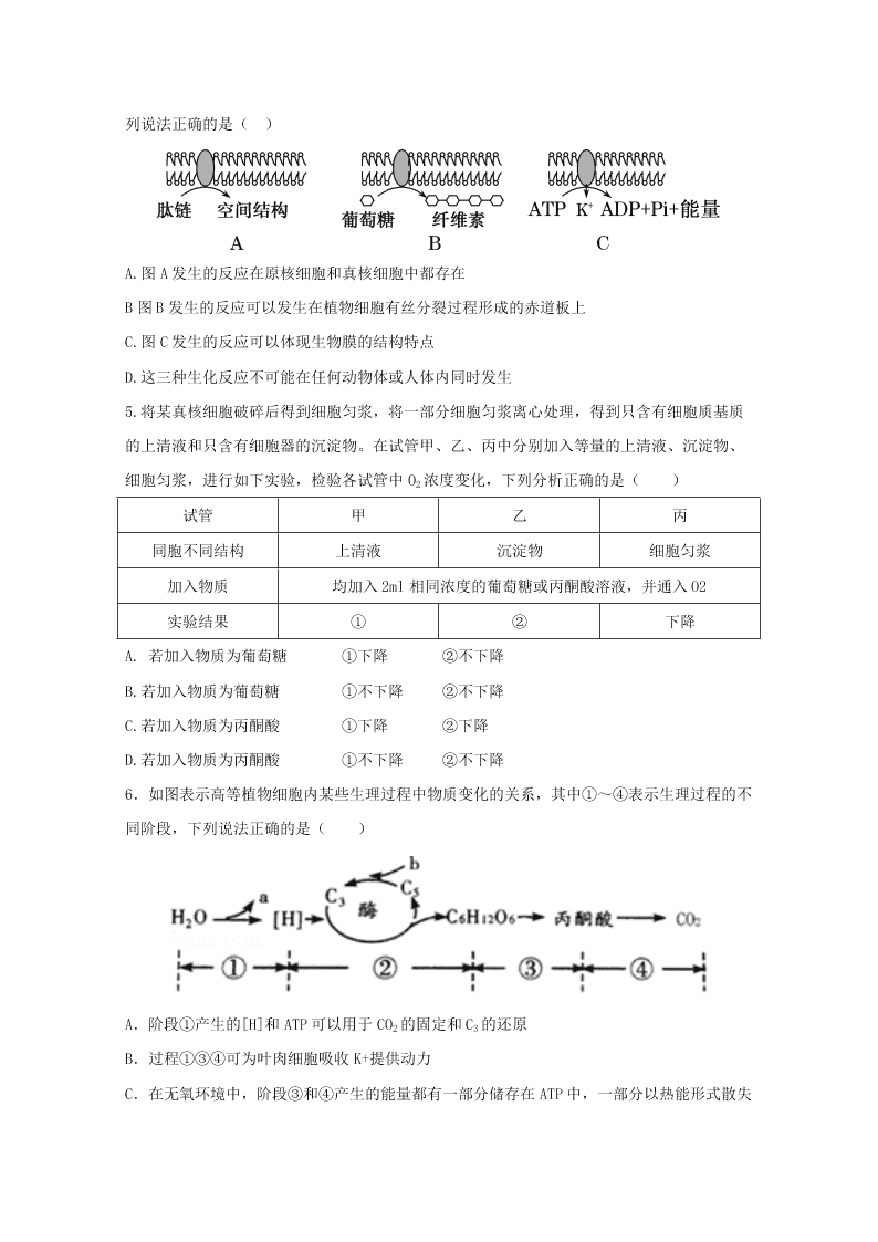 湖北省新高考联考协作体2020-2020高二生物上学期开学联考试题（Word版附答案）