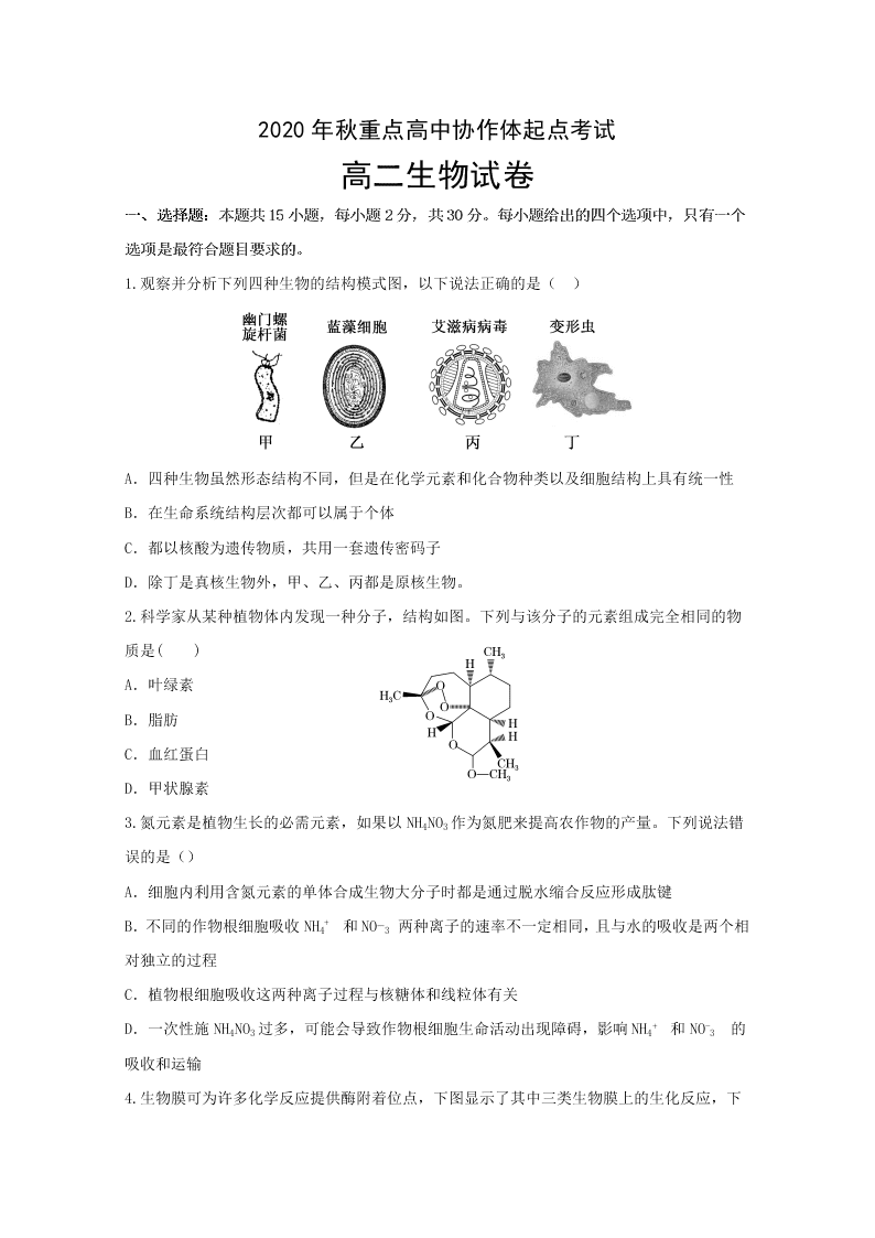 湖北省新高考联考协作体2020-2020高二生物上学期开学联考试题（Word版附答案）