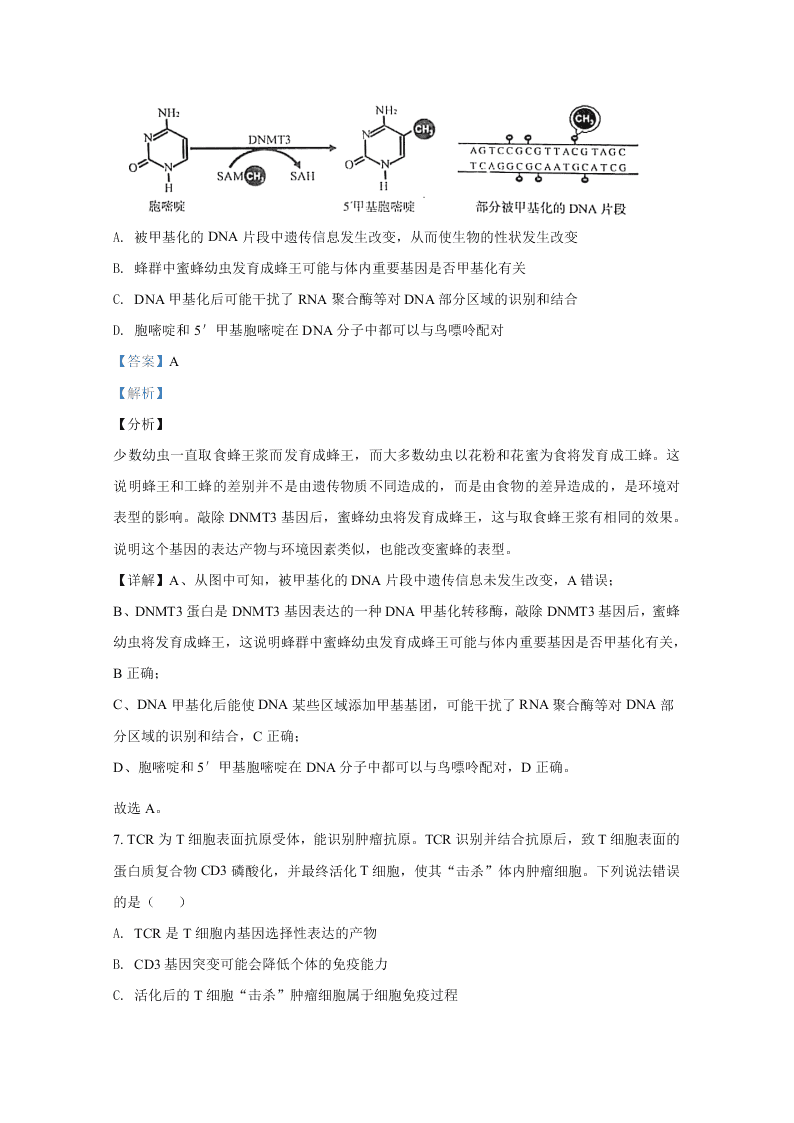 山东省2021届高三生物上学期开学检测试题（Word版附解析）