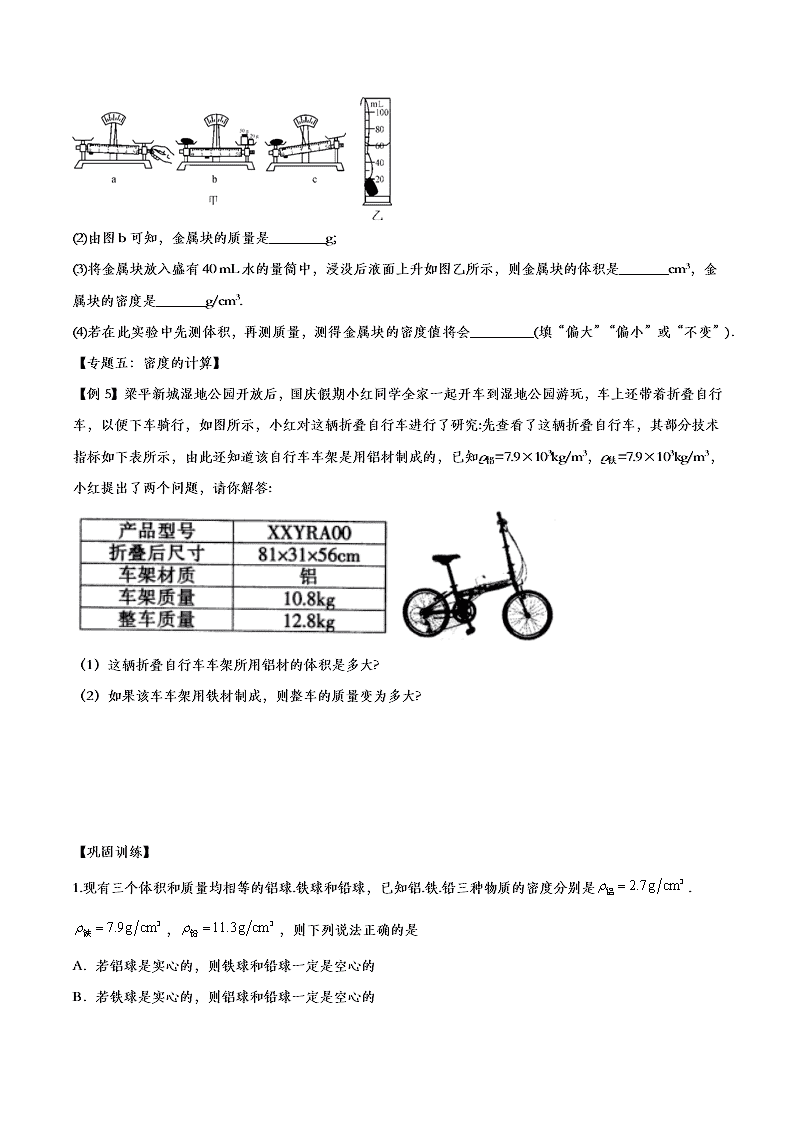 2020人教版初二物理重点知识专题训练：质量与密度