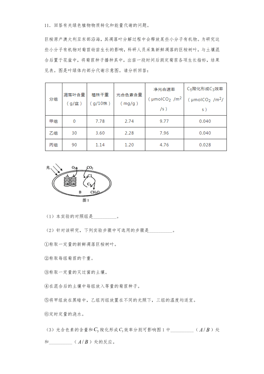 人教版高三生物下册期末考点复习题及解析：呼吸作用与光合作用