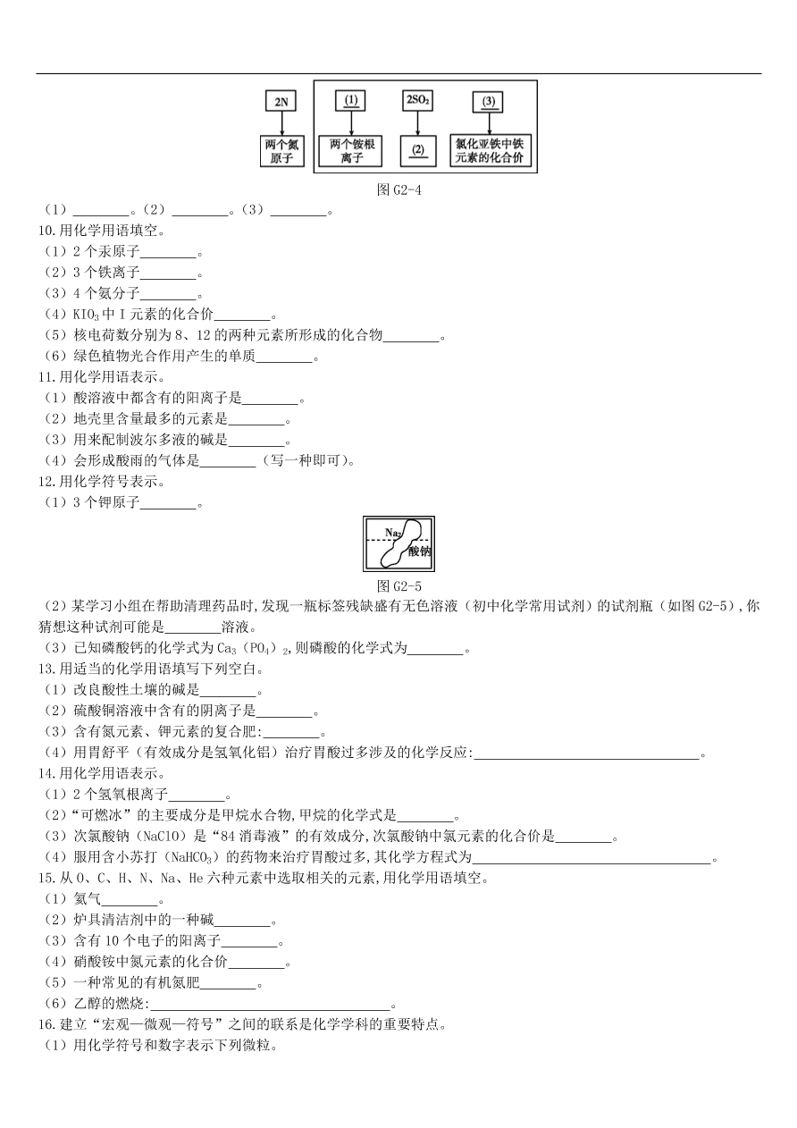 中考化学专项复习专题二 化学用语练习