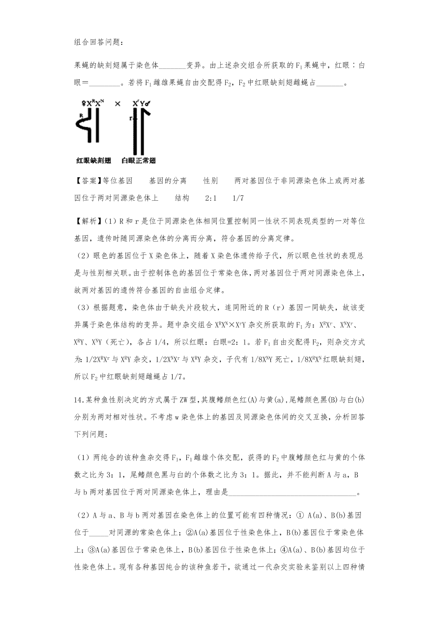 人教版高三生物下册期末考点复习题及解析：基因在染色体上和伴性遗传、人类遗传病