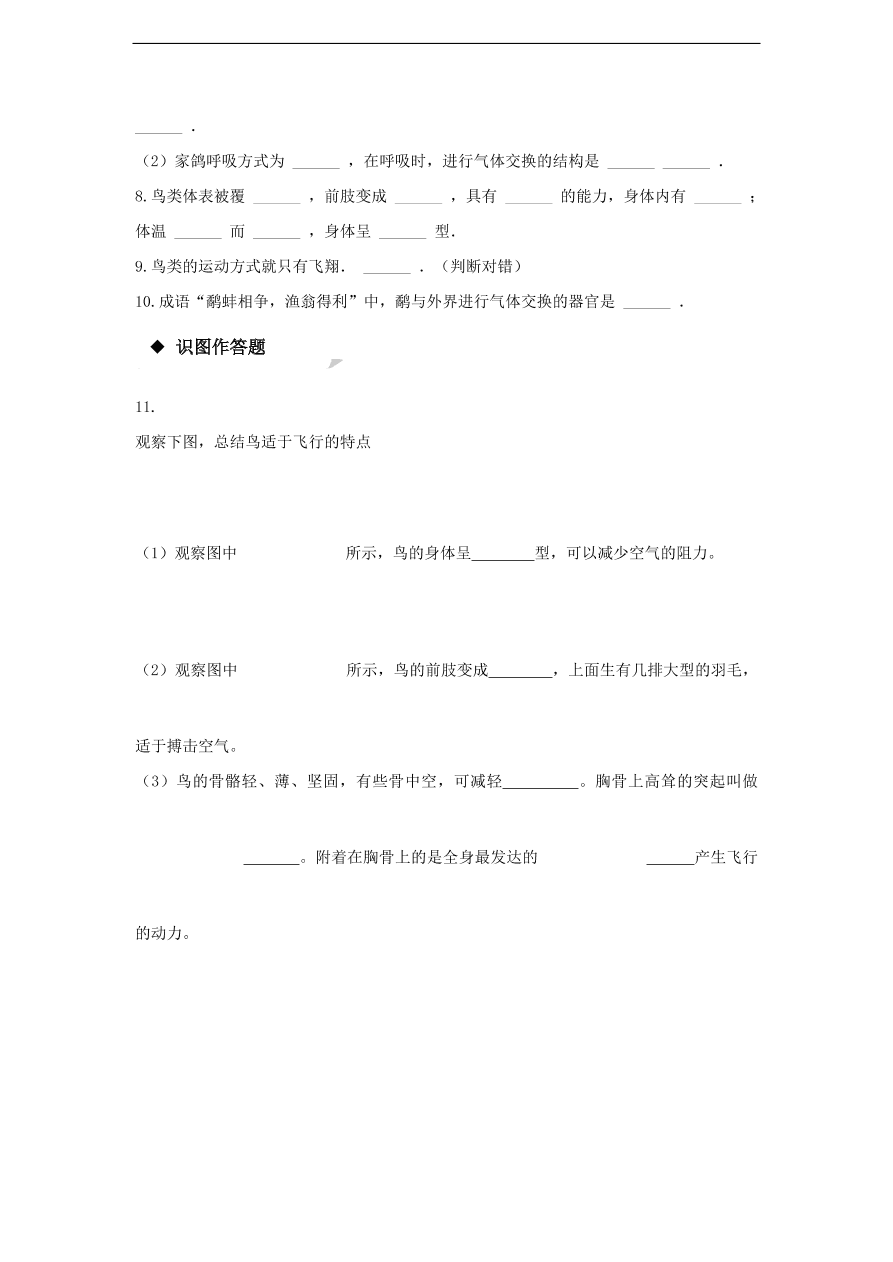 人教版八年级生物上册《鸟》同步练习及答案