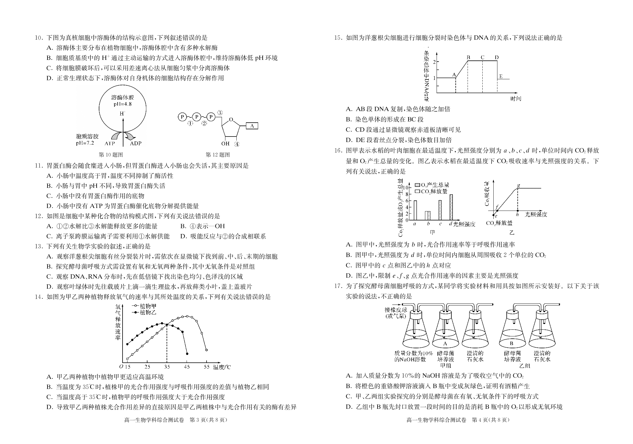 湖北省随州市第一中学2019-2020学年高一上学期综合测试生物试题（PDF版）   