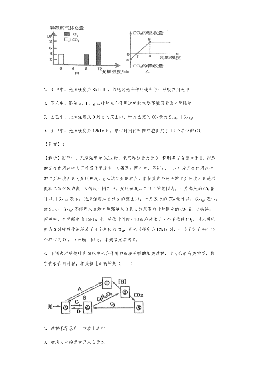 人教版高三生物下册期末考点复习题及解析：呼吸作用与光合作用