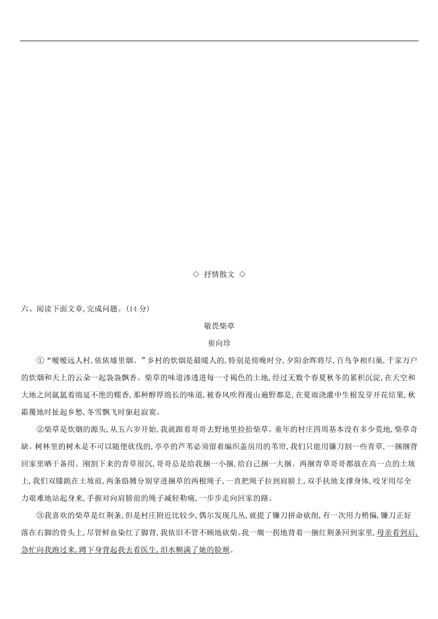 新人教版 中考语文总复习第二部分现代文阅读专题训练06散文阅读（含答案）