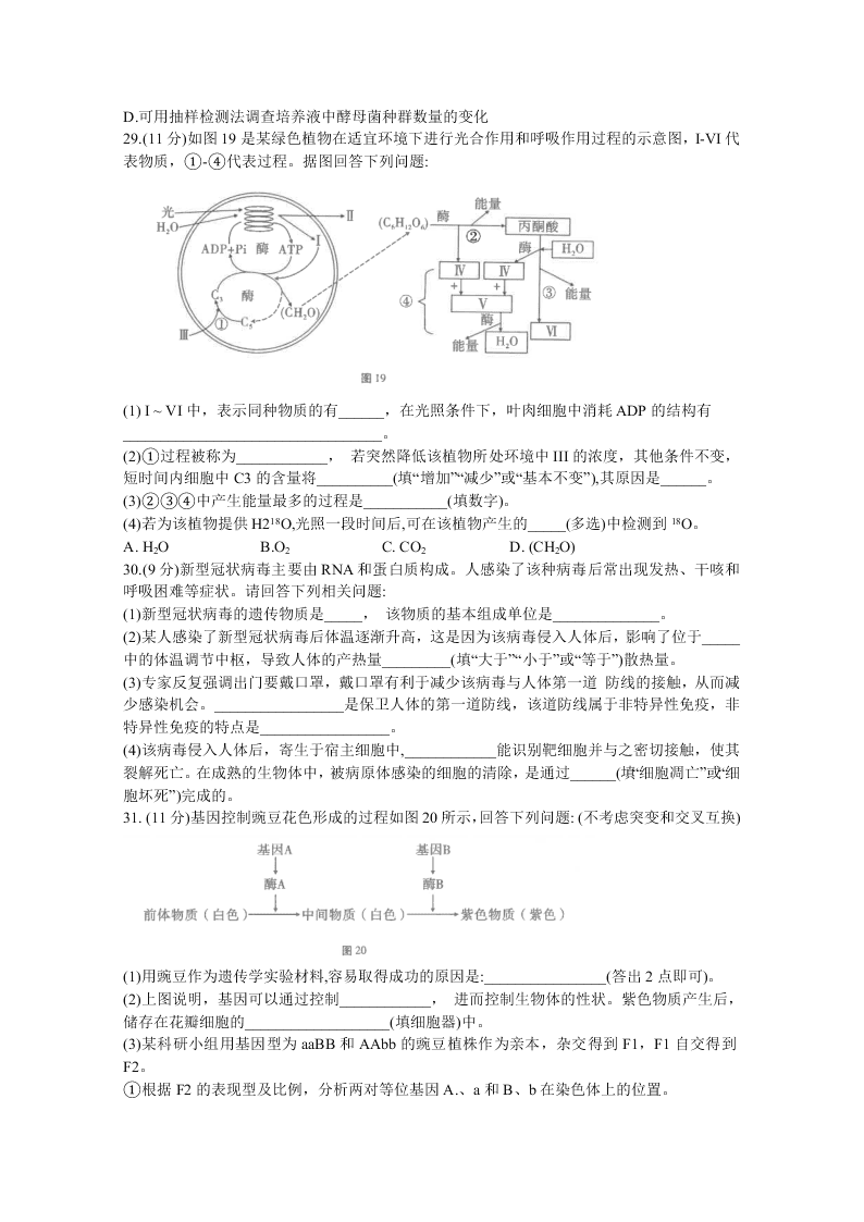 云南师范大学附属中学2021届高三生物高考适应性月考试卷（一）（Word版附答案）