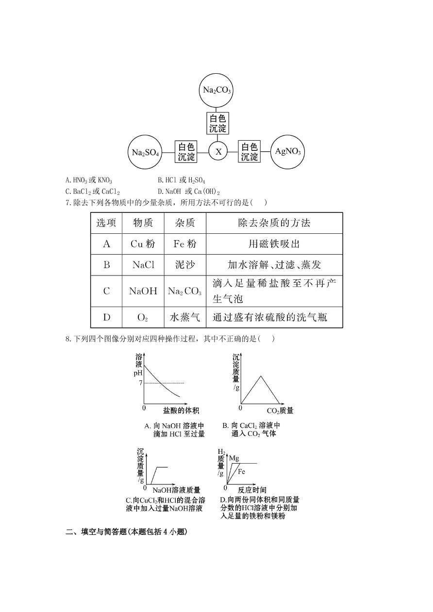 九年级化学下册单元检测试题——盐和肥