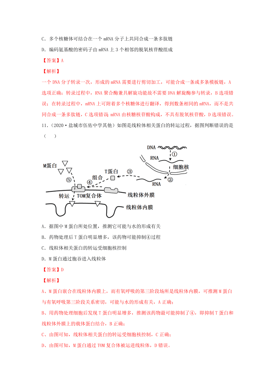 2020-2021学年高三生物一轮复习专题19 基因的表达（练）