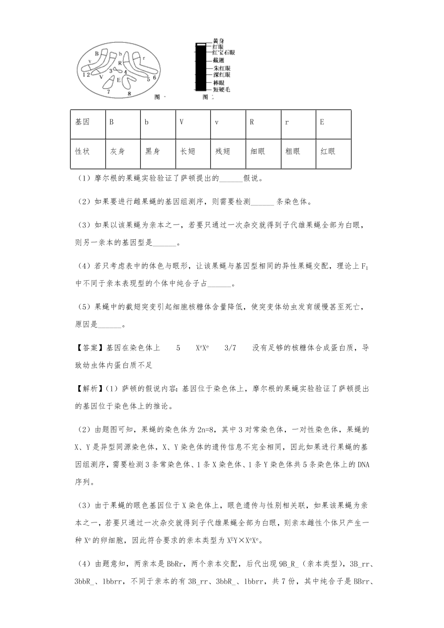 人教版高三生物下册期末考点复习题及解析：基因在染色体上和伴性遗传、人类遗传病