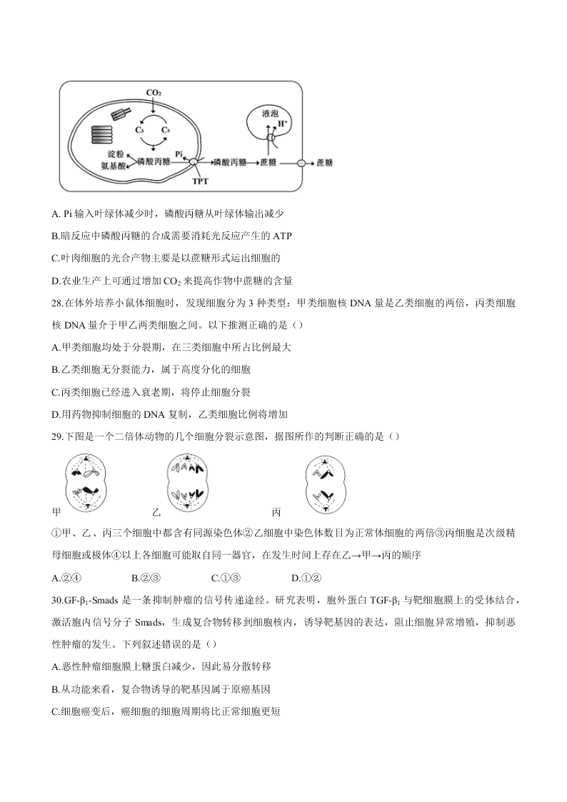 四川省成都七中2021届高三生物上学期入学考试试题（Word版附答案）