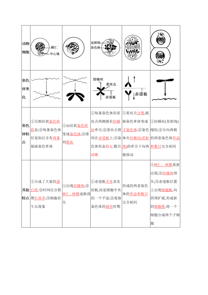 2020-2021年高考生物一轮复习知识点专题16 细胞的增殖