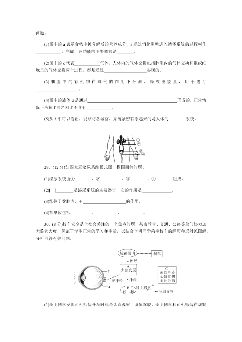 2019-2020年人教版七年级下生物期末考（答案）