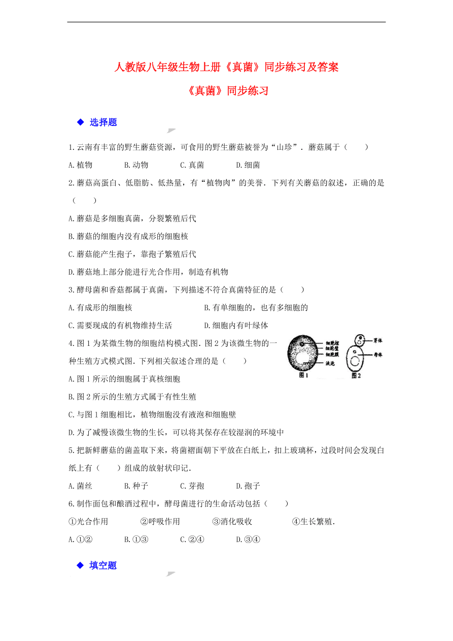 人教版八年级生物上册《真菌》同步练习及答案