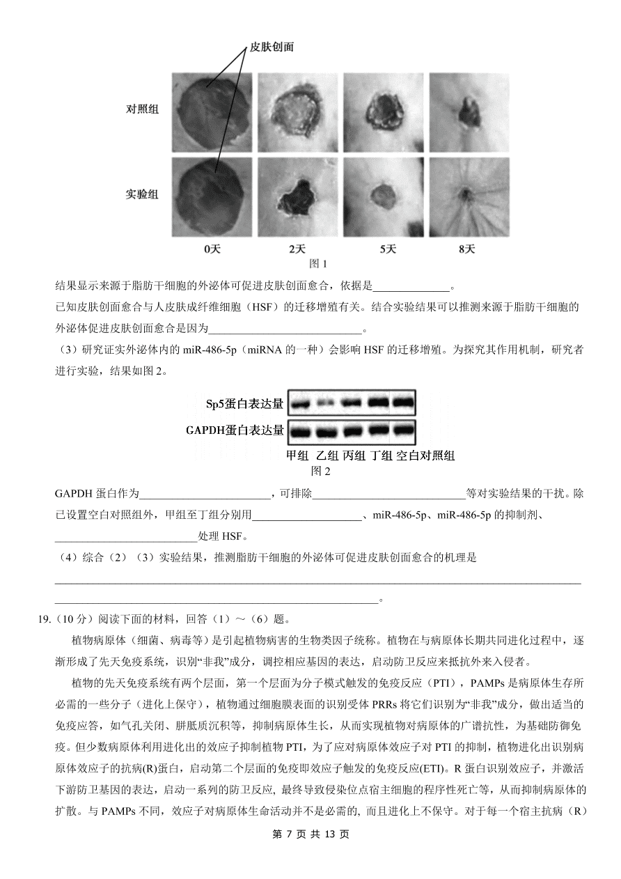 北京市朝阳区2021届高三生物上学期期中试题（Word版附答案）