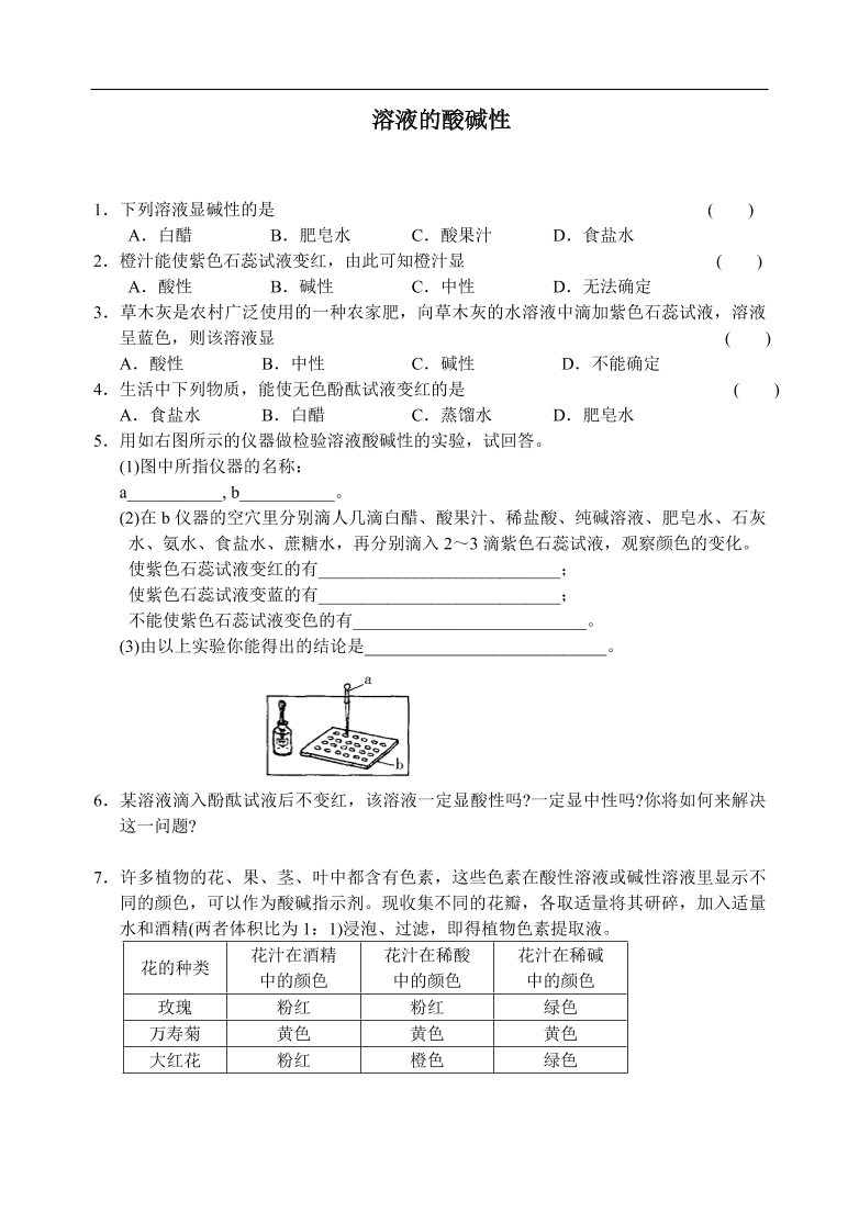 九年级化学专题复习  溶液的酸碱性1 练习