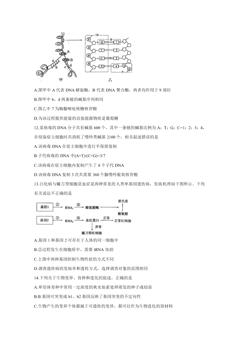 山东省聊城市九校2020-2021高二生物上学期第一次开学联考试题（Word版附答案）