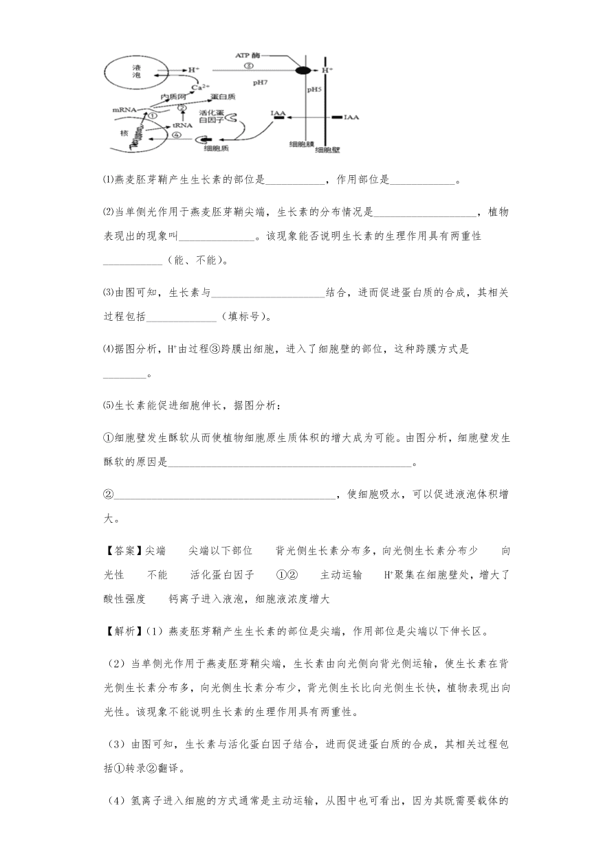 人教版高三生物下册期末考点复习题及解析：植物的激素调节