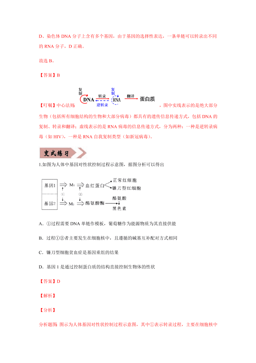 2020-2021学年高三生物一轮复习易错题06 遗传的分子基础