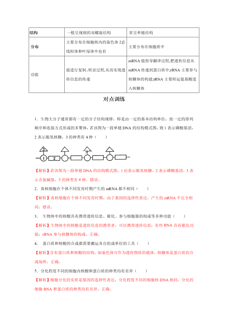 2020-2021年高考生物一輪復(fù)習(xí)知識(shí)點(diǎn)專題05 核酸是遺傳信息的攜帶者