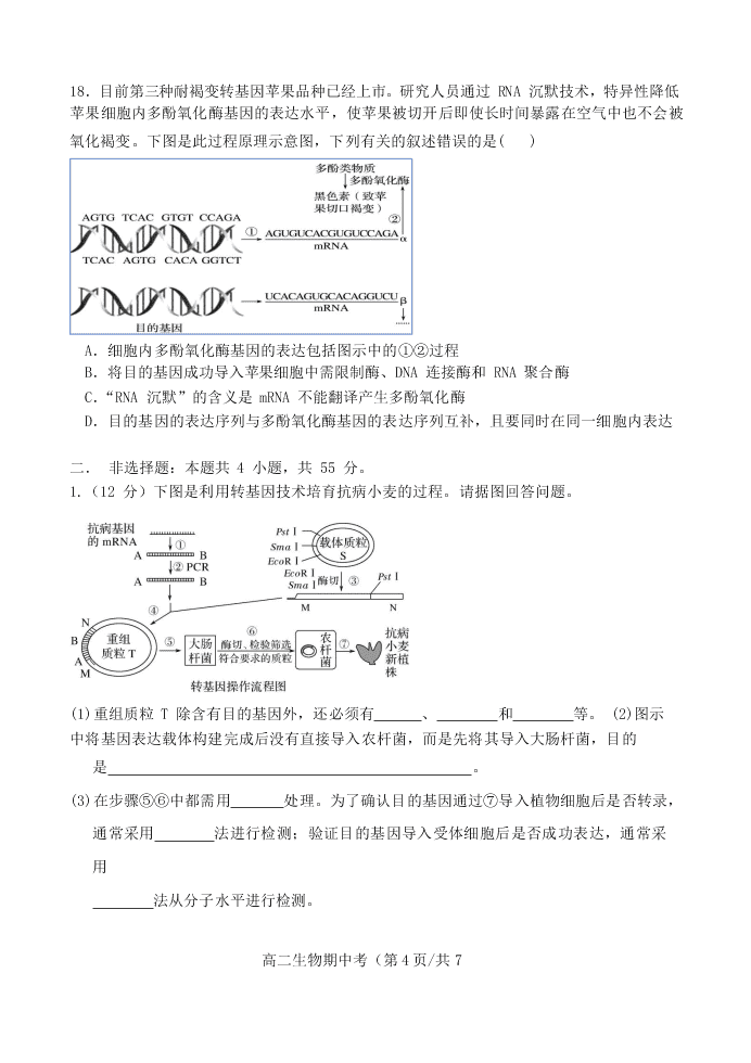 2020届广东省汕头市金山中学高二下生物期中考试试题（无答案）