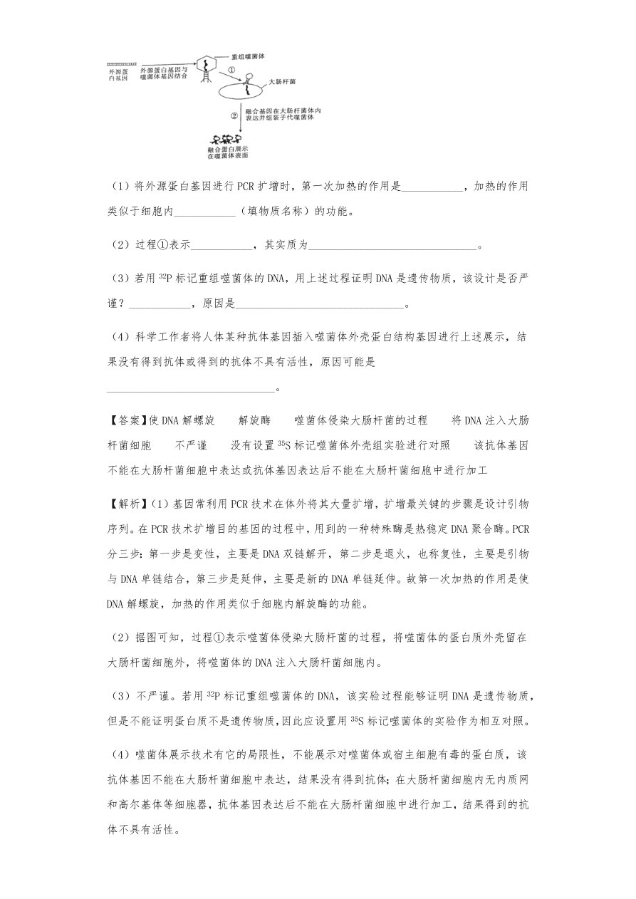 人教版高三生物下册期末考点复习题及解析：DNA是主要的遗传物质、结构、复制和基因的表达