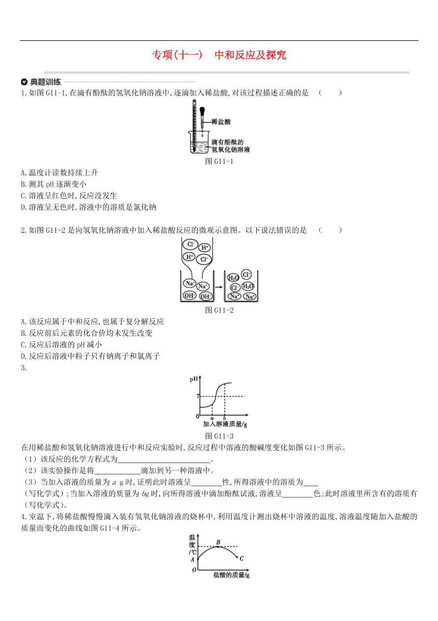 中考化学专项复习专题十一  中和反应及探究练习