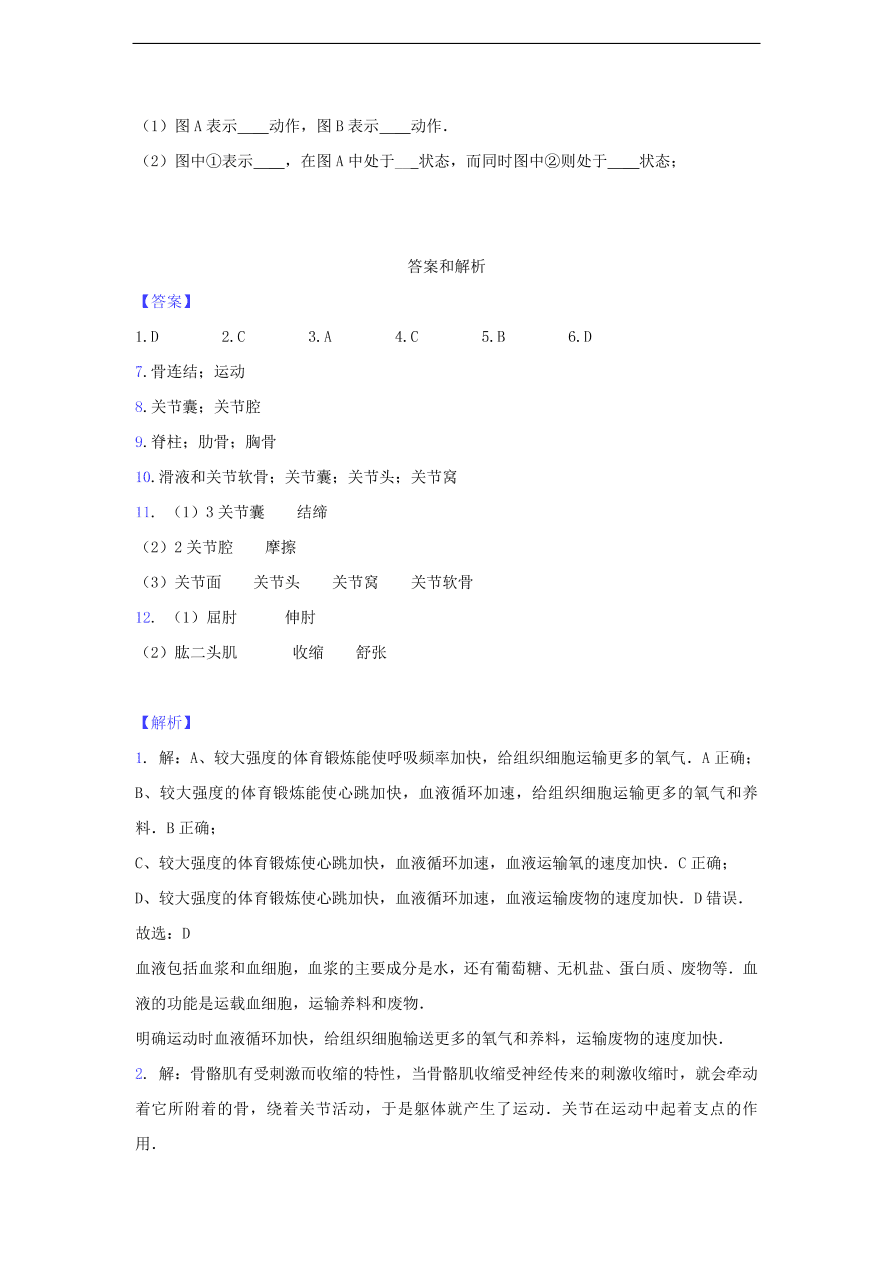 人教版八年级生物上册《动物的运动》同步练习及答案