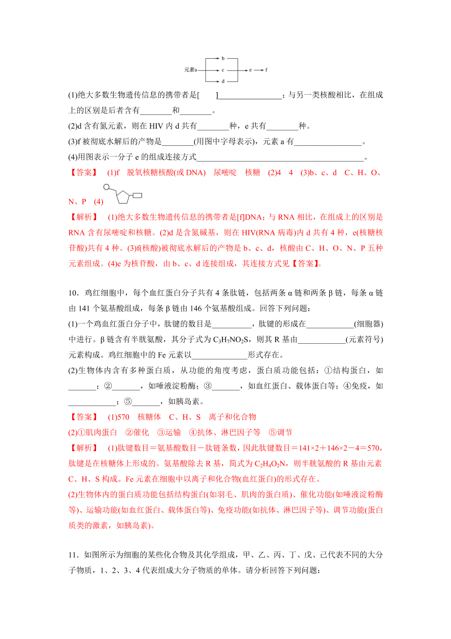 2020-2021学年高三生物一轮复习专题03 蛋白质和核酸（练）