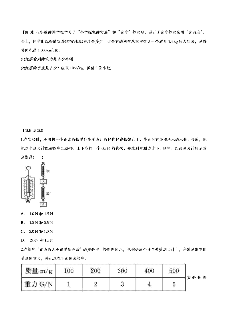 2020人教版初二物理重点知识专题训练：力