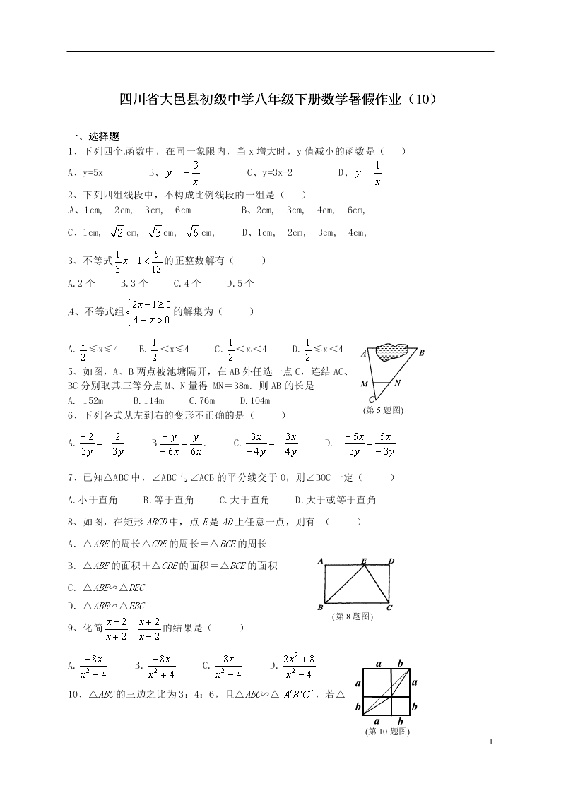 四川省大邑县初级中学八年级下册数学暑假作业（10）