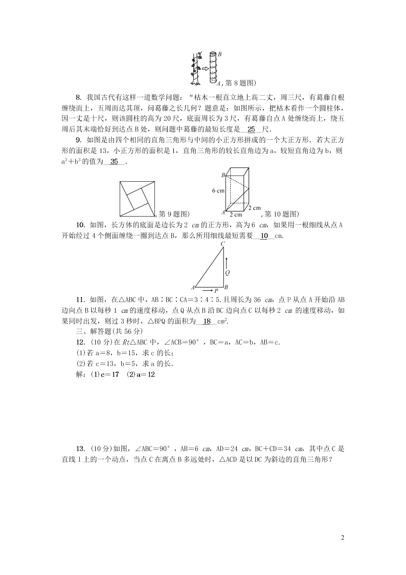 北师大版八年级上学期数学阶段能力测试题一（含答案）