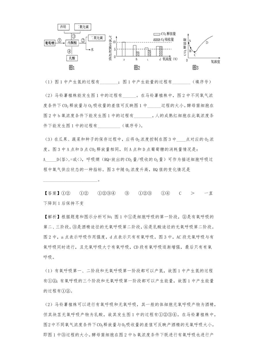 人教版高三生物下册期末考点复习题及解析：呼吸作用与光合作用