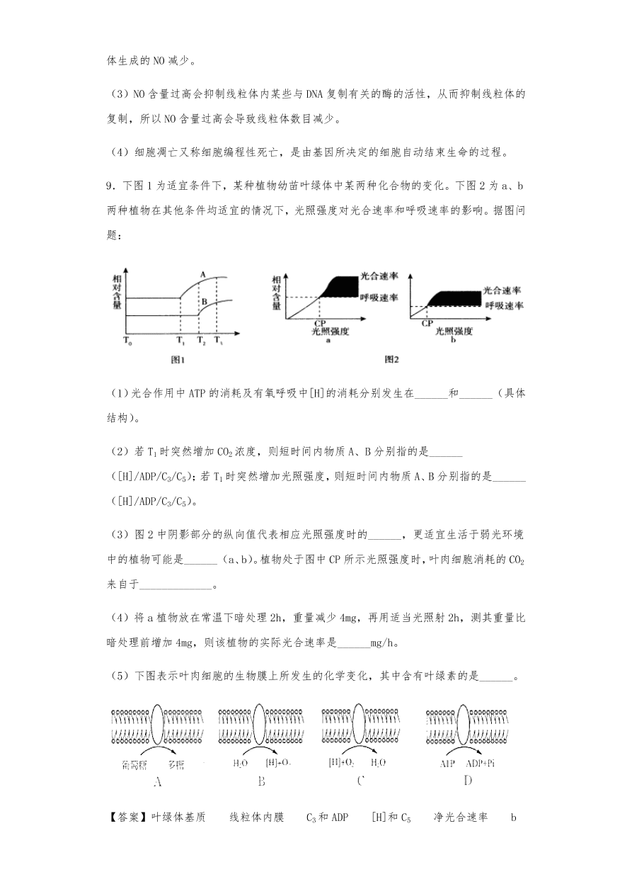 人教版高三生物下册期末考点复习题及解析：呼吸作用与光合作用