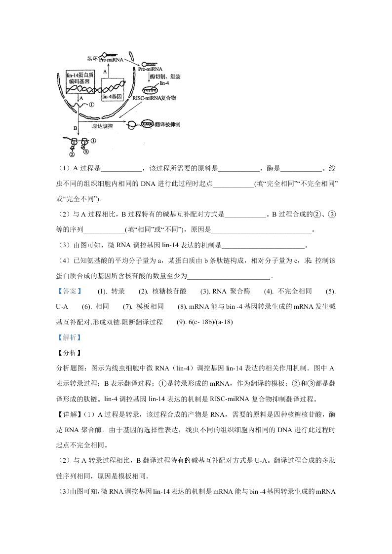 山东省聊城市九校2020-2021高二生物上学期开学联考试题（Word版附解析）