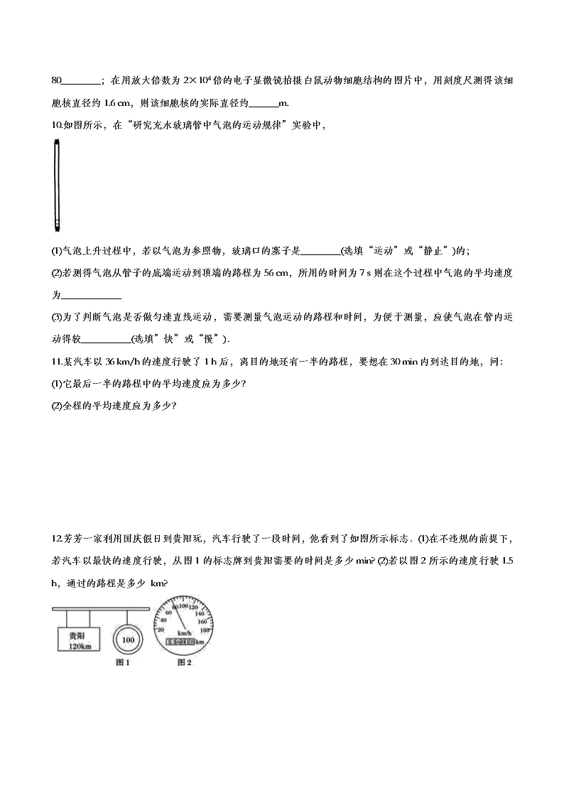 2020人教版初二物理重点知识专题训练：机械运动