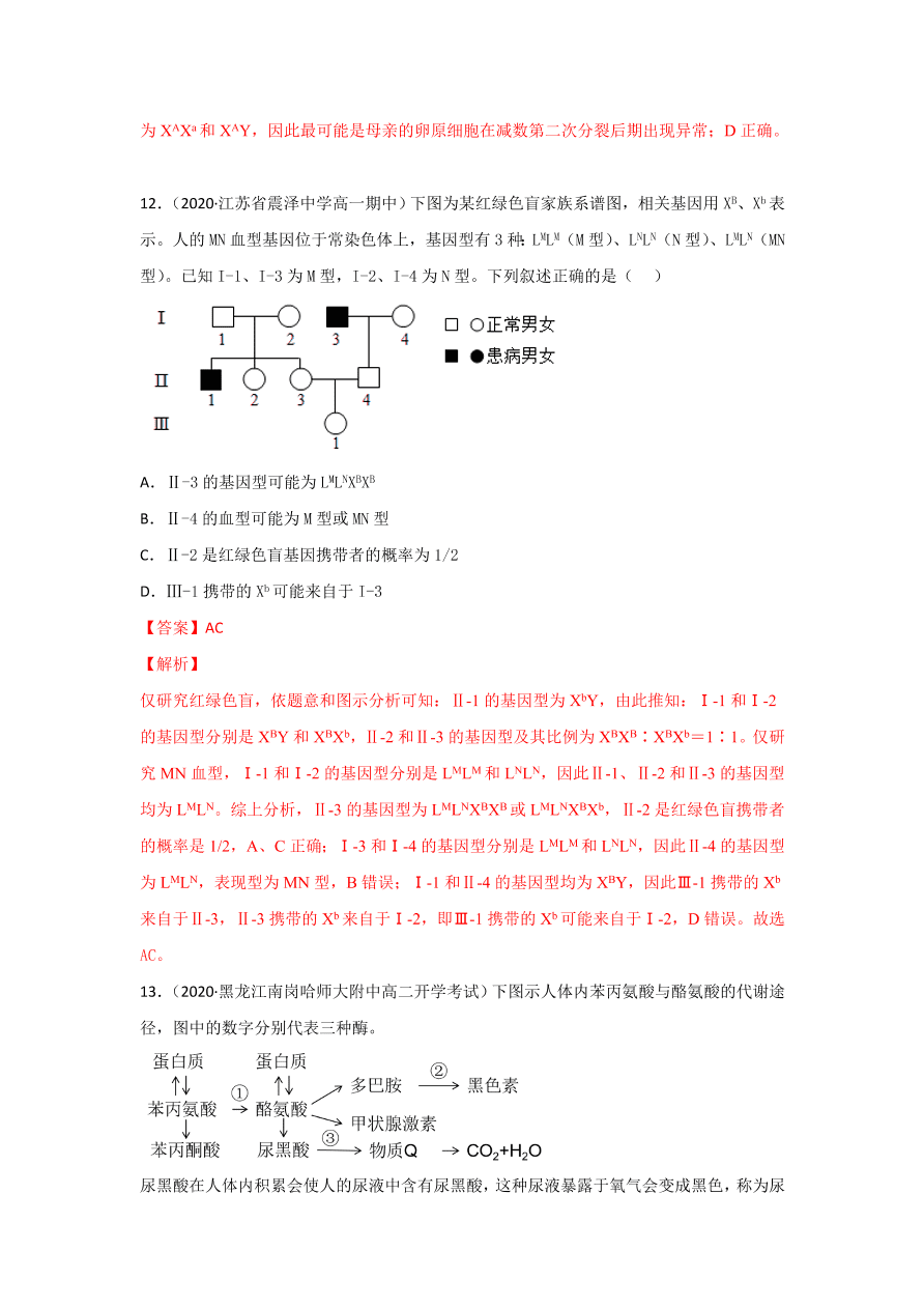 2020-2021学年高三生物一轮复习专题16 伴性遗传和人类遗传病（练）