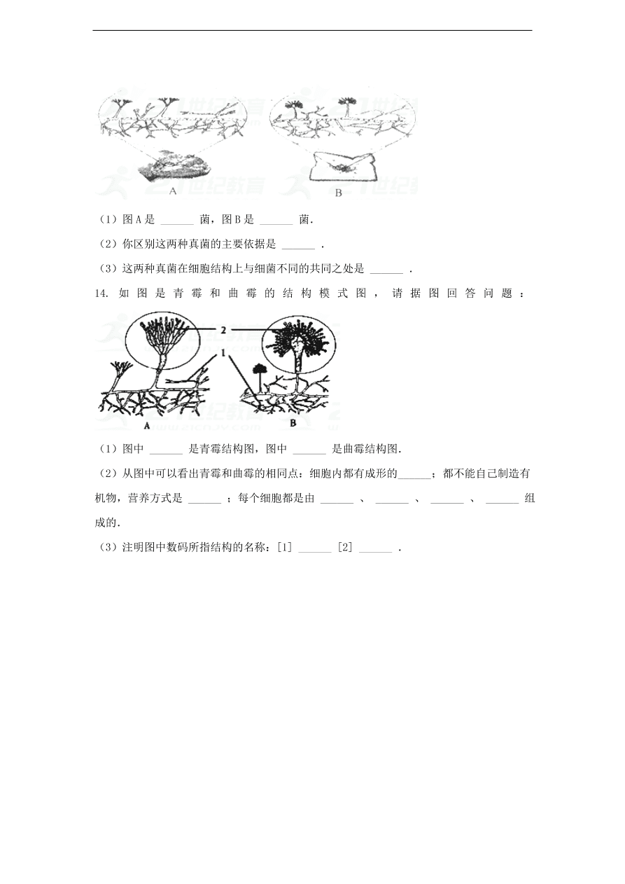 人教版八年级生物上册《真菌》同步练习及答案