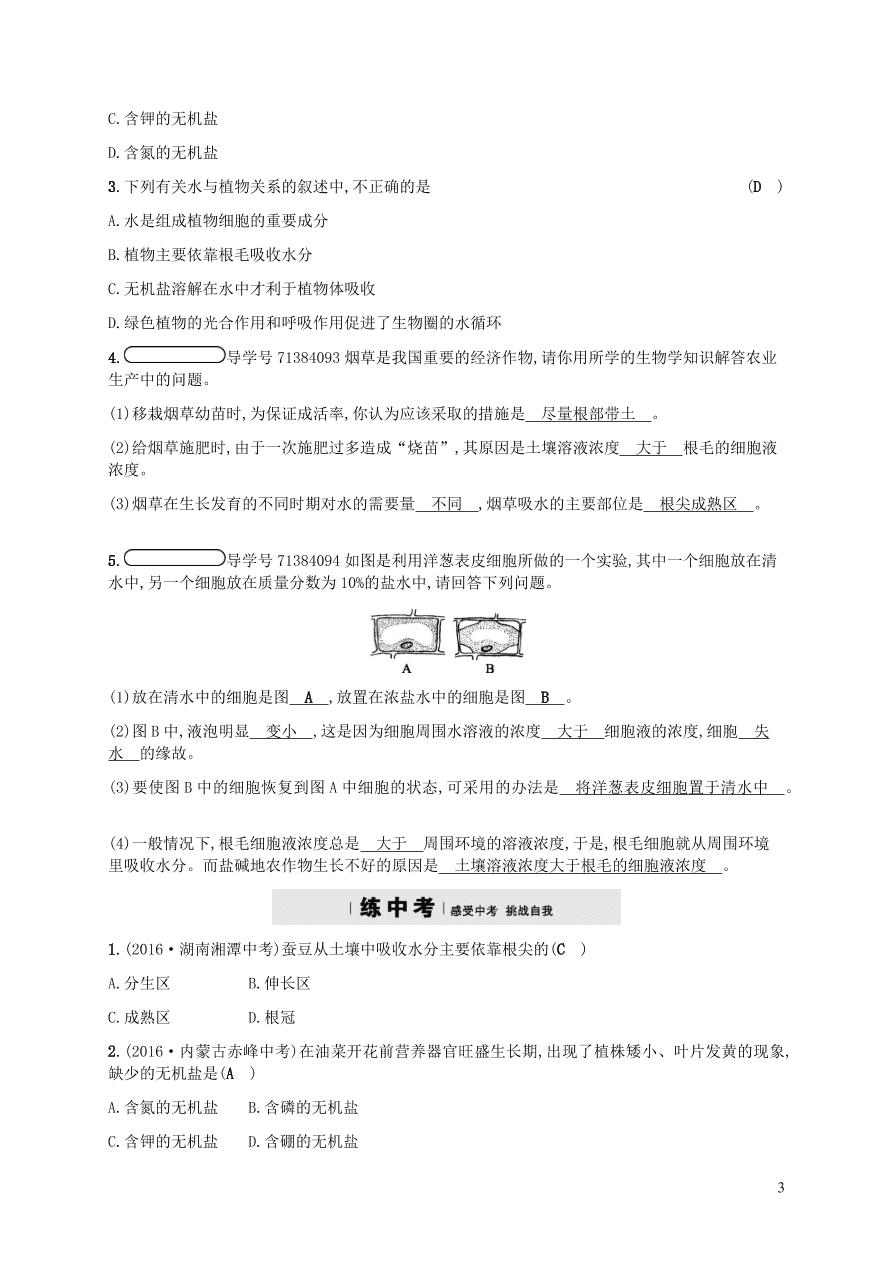 北师大版七年级生物上册5.3《吸收作用》同步练习及答案