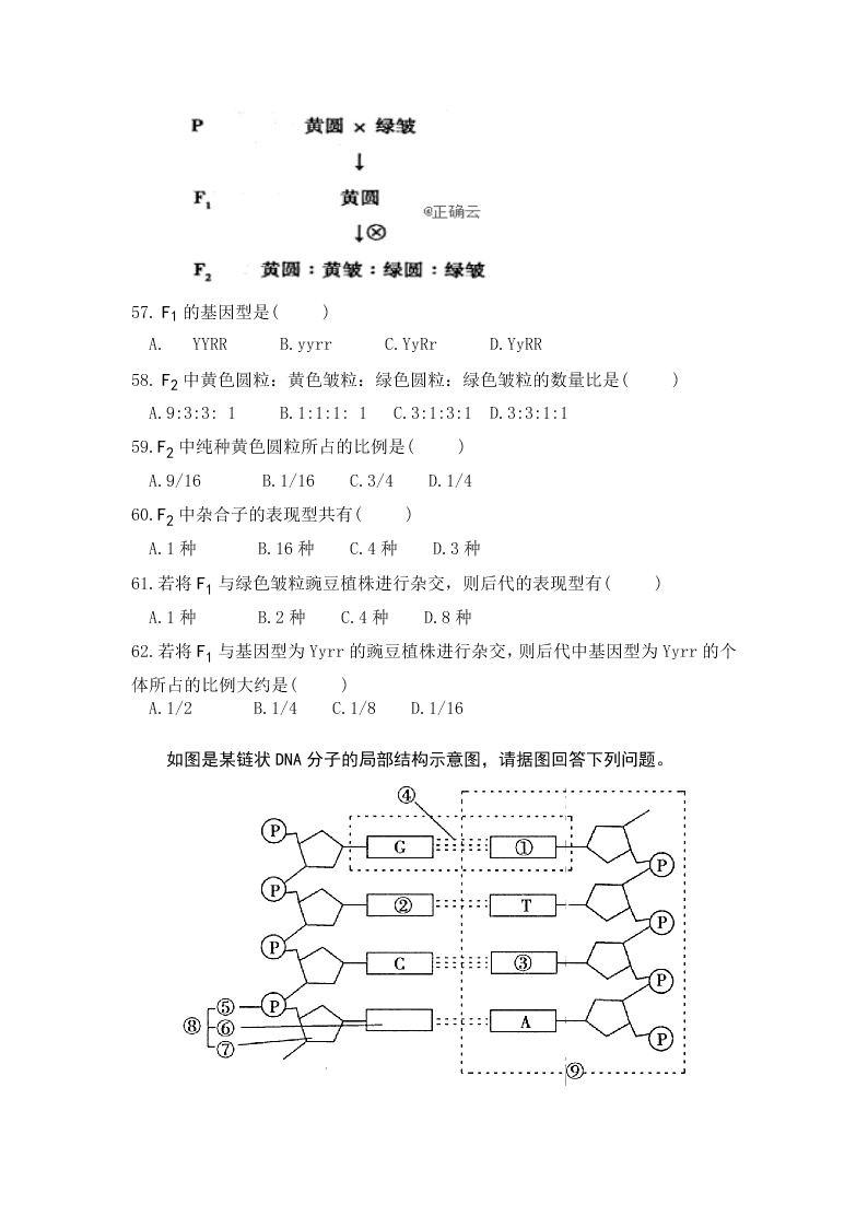 辽宁省阜新市第二高级中学2019-2020学年高一下学期期末考试生物试卷   