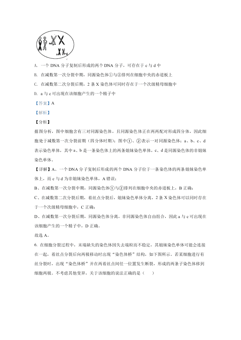 山东省聊城市九校2020-2021高二生物上学期开学联考试题（Word版附解析）