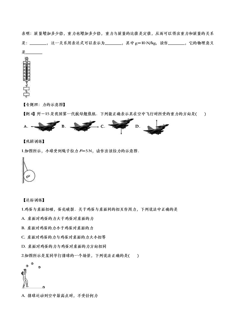 2020人教版初二物理重点知识专题训练：力