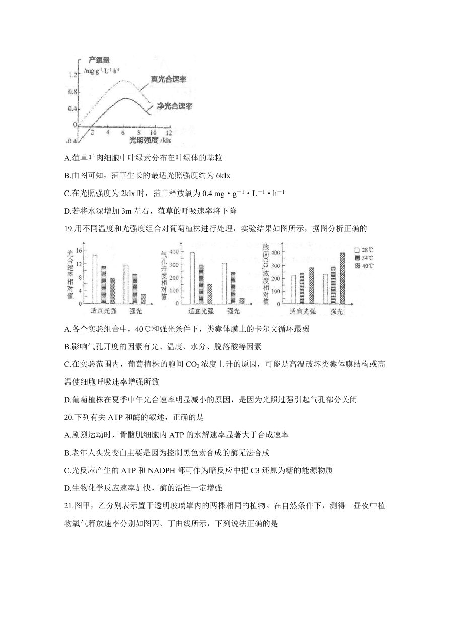 河北省衡水中学2021届高三生物上学期期中试题（Word版附答案）