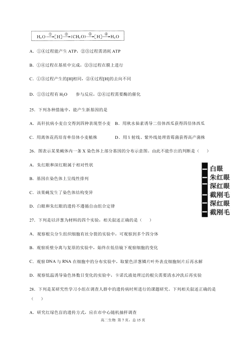 四川省成都外国语学校2020-2021高二生物10月月考试题（Word版附答案）