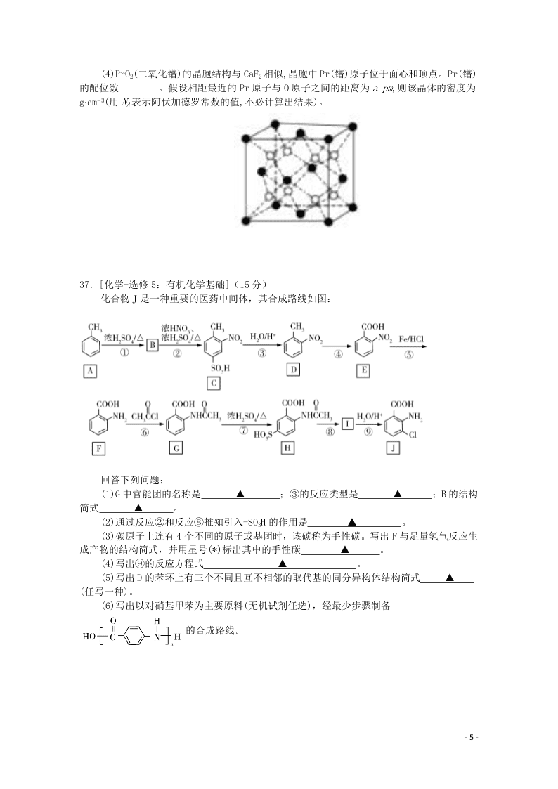 四川省绵阳市涪城区南山中学双语学校2021届高三生物9月月考试题（含答案）