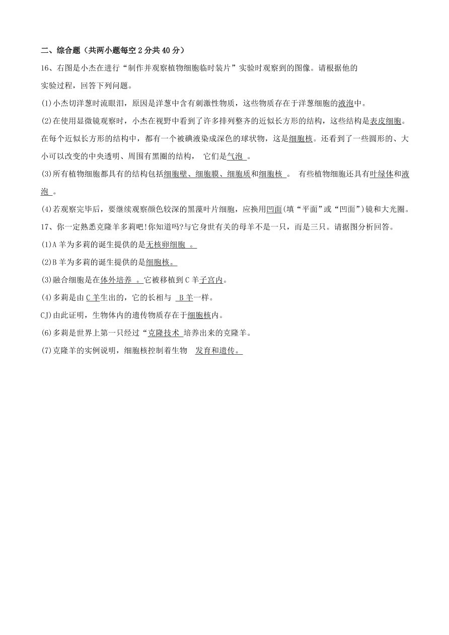 2020学年初一生物上册知识梳理及训练：细胞是生命活动的基本单位